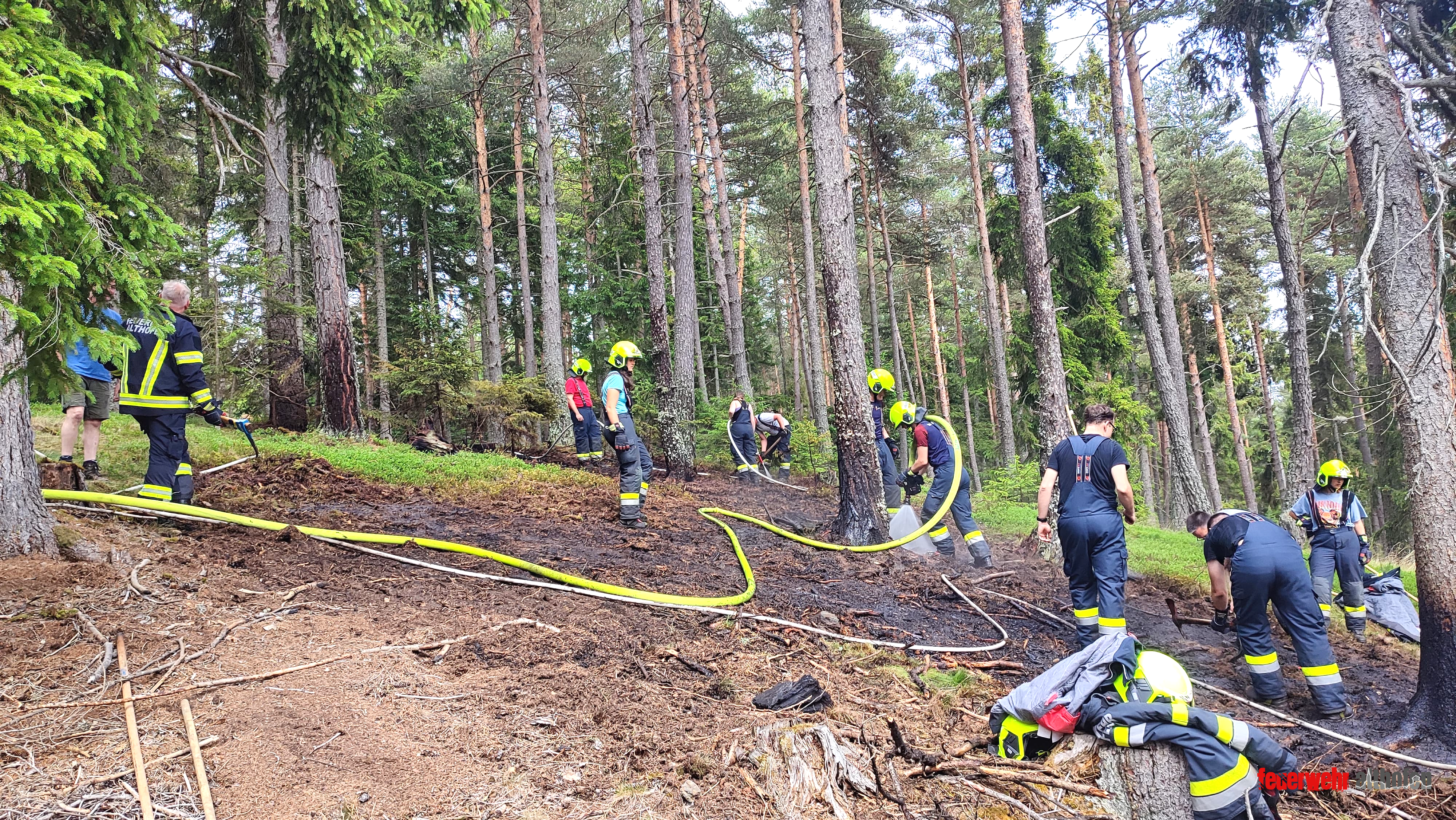 Waldbrand am Pleschutz